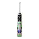SS-Master-100-Kashmir-Willow-Cricket-Bat-1-600x600