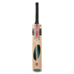 BDM Tennis Kashmir Popular Cricket Bat_3