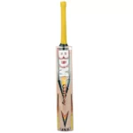 bdm-galaxy-plus-cricket-bat-500x500 (1)